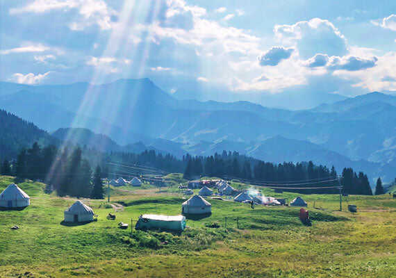Lofi Camp