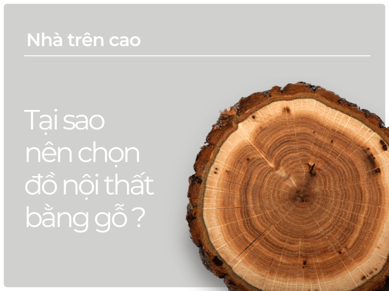 Sử dụng nội thất bằng gỗ công nghiệp thân thiện môi trường - Xu hướng tiêu dùng bền vững
