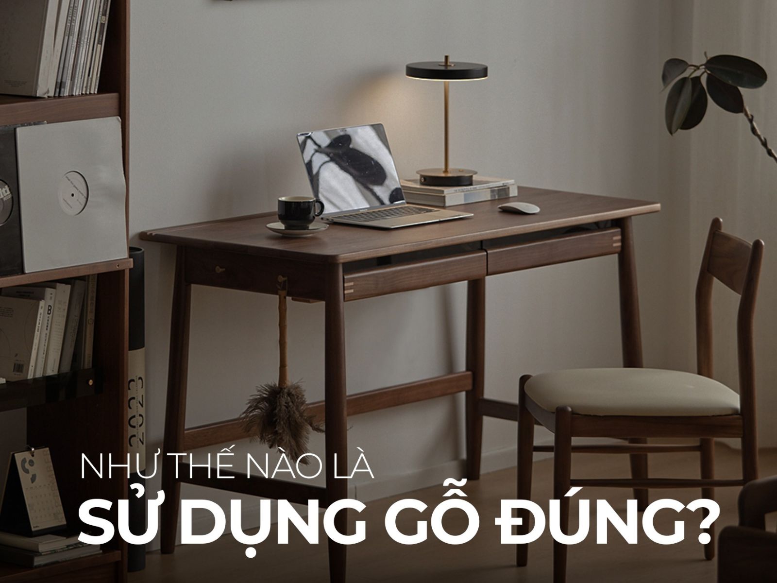 Như Thế Nào Là Sử Dụng Gỗ Đúng?