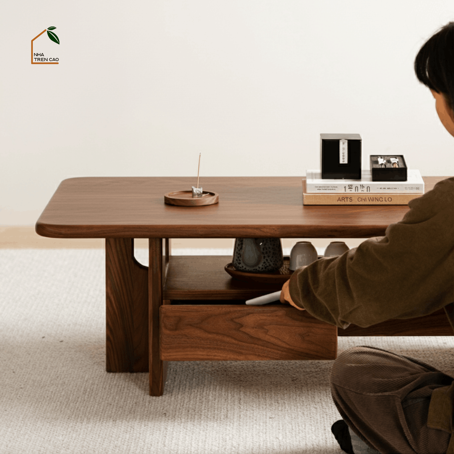 SOLIN, BT_012, Bàn trà phong cách sang trọng, 100x50x40cm, Plywood phủ veneer, Nội thất Nhà trên cao