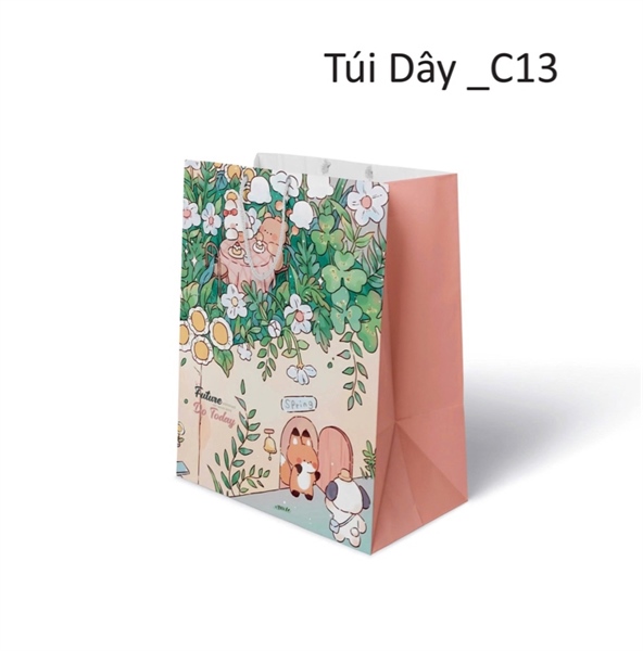 TÚI QUÀ DÂY SIZE C 1L/10T 27CMx36CMx11.5CM