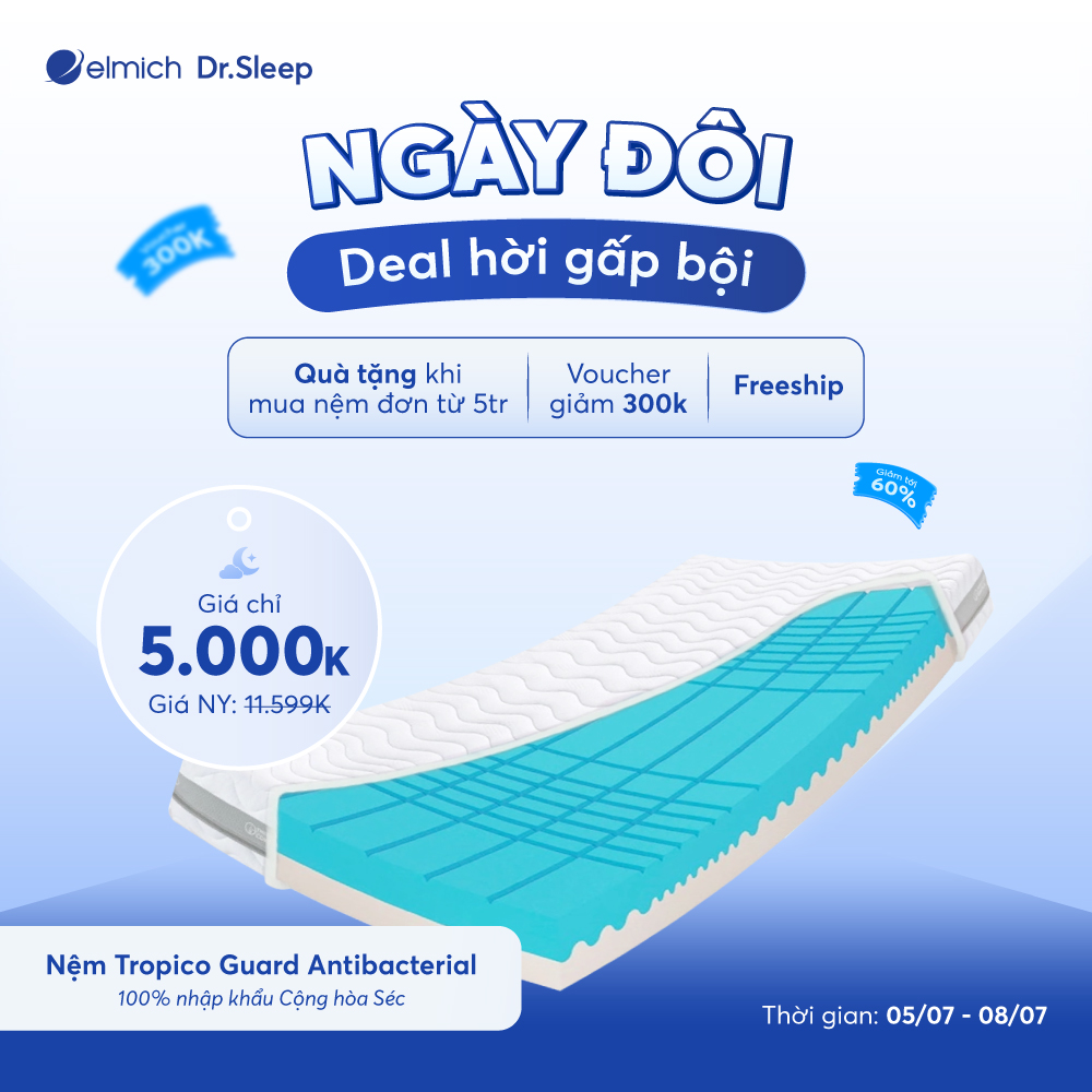 Nệm nhập khẩu từ Châu Âu