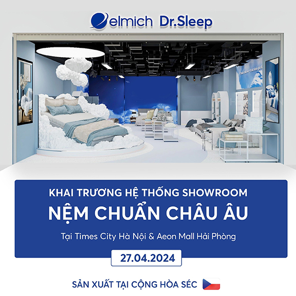 Khai trương showroom