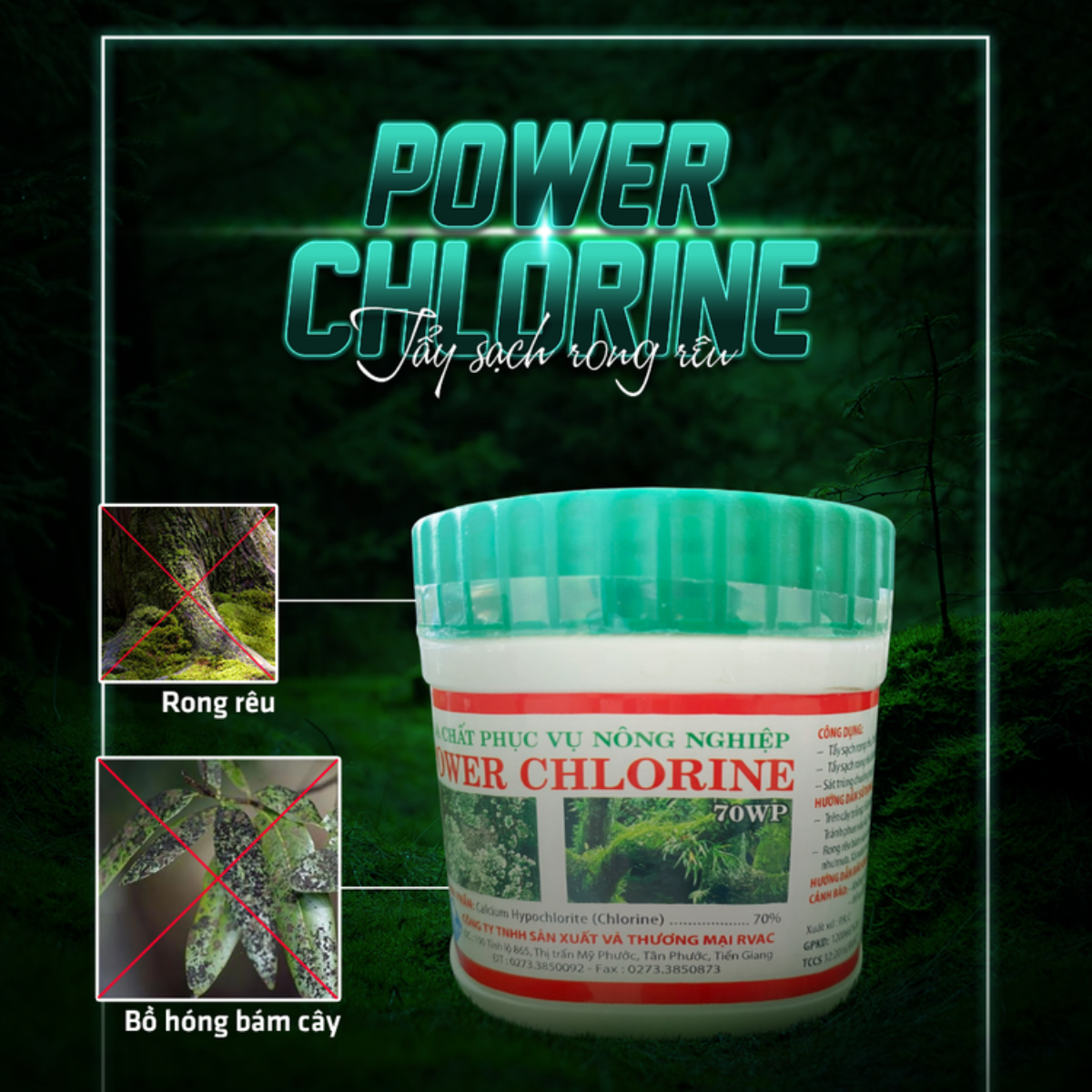 Bột Tẩy Rong Rêu Cực Mạnh