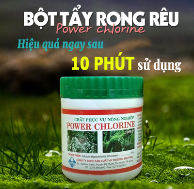 Bột Tẩy Rong Rêu Cực Mạnh