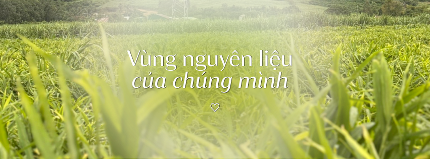 Epis - Thảo dược Việt