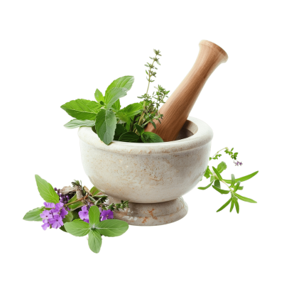 Các thảo dược khác