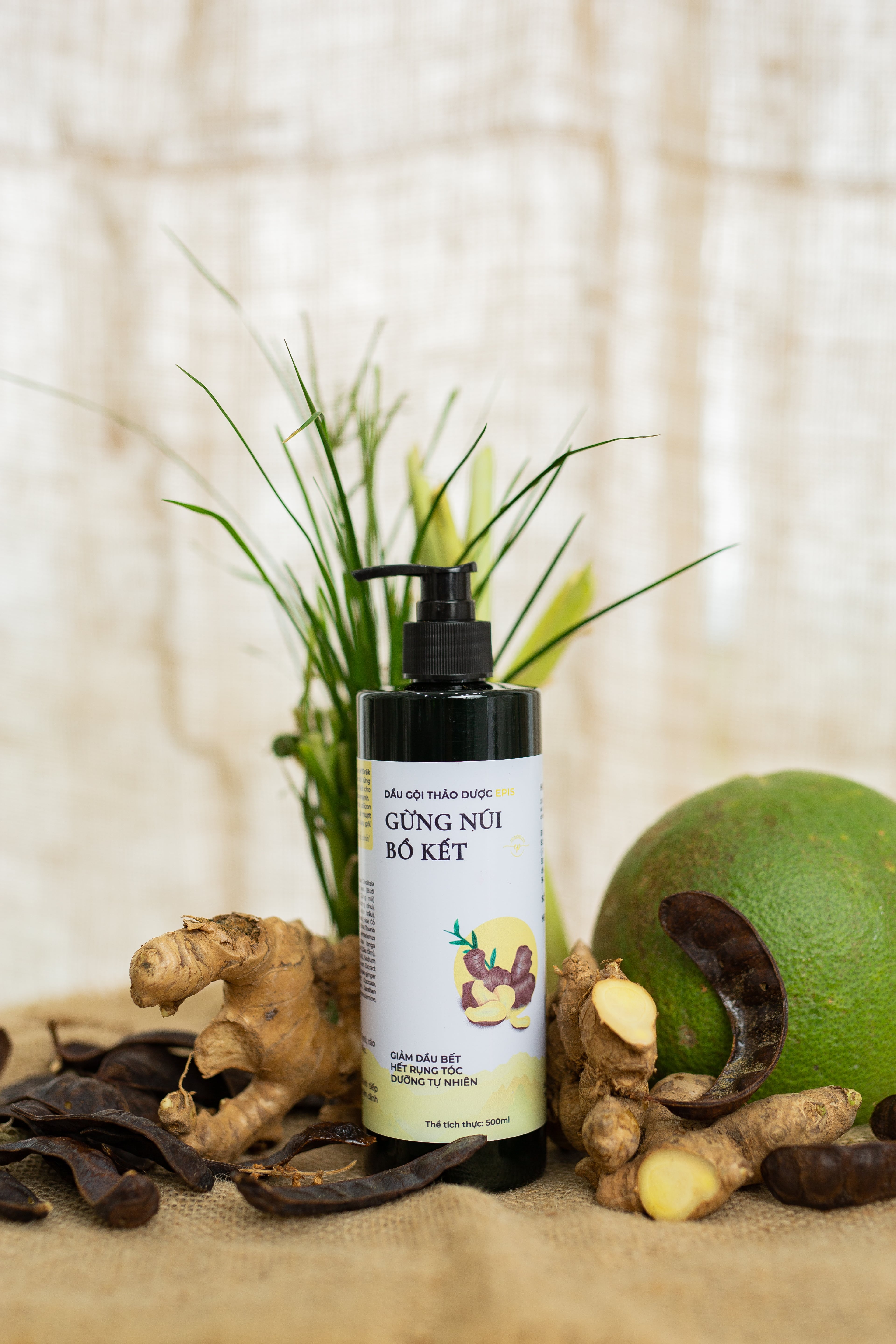 Dầu gội thảo dược Gừng núi bồ kết Epis