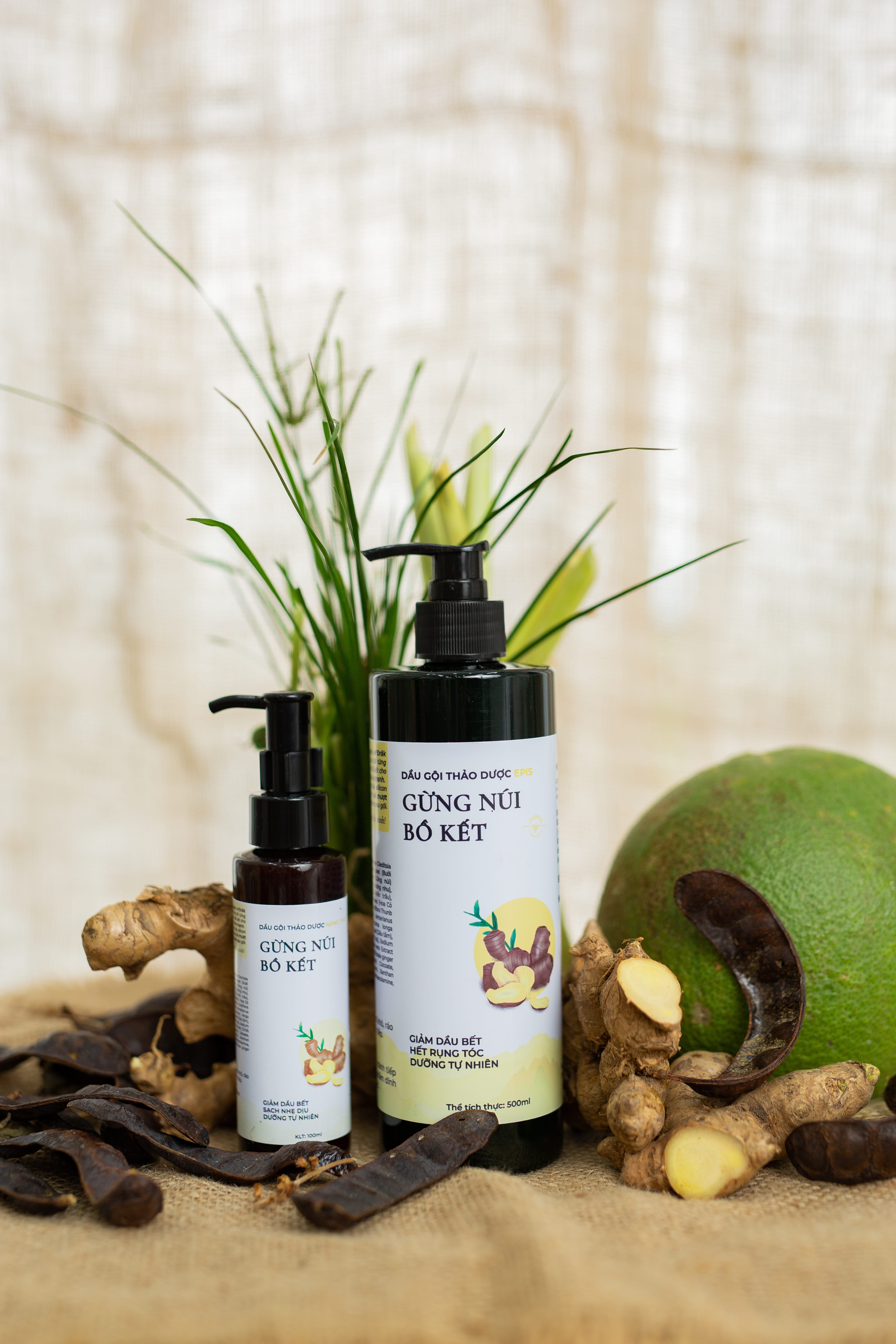 Dầu gội thảo dược Gừng núi bồ kết Epis