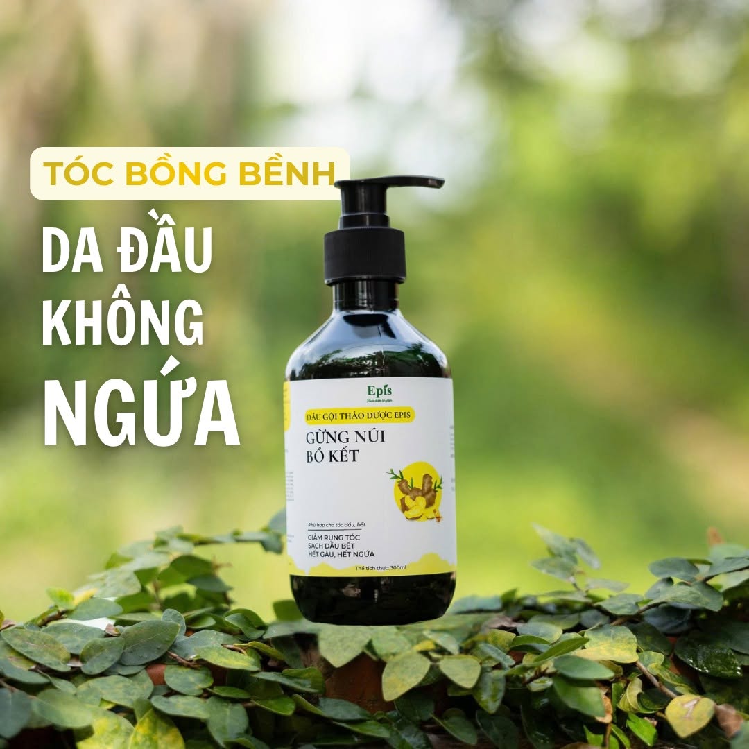 Dầu gội thảo dược Gừng núi bồ kết Epis