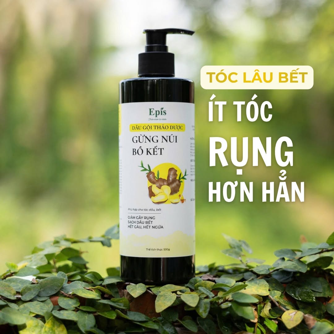 Combo Chăm tóc từ gốc (Dầu gội Gừng núi 500ml + kem xả 250g+ xịt bưởi 100ml)