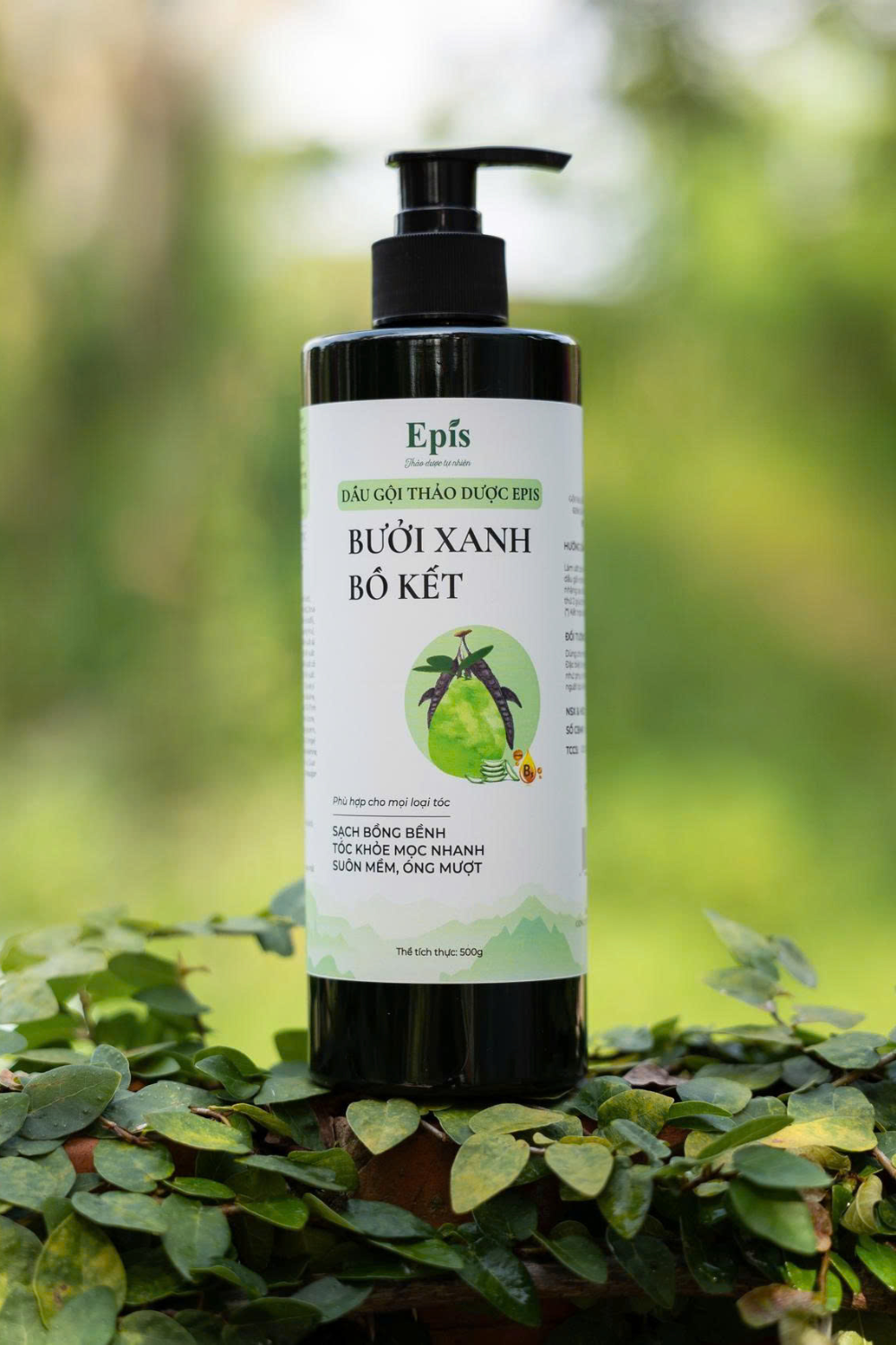 Dầu gội thảo dược Bưởi xanh bồ kết Epis