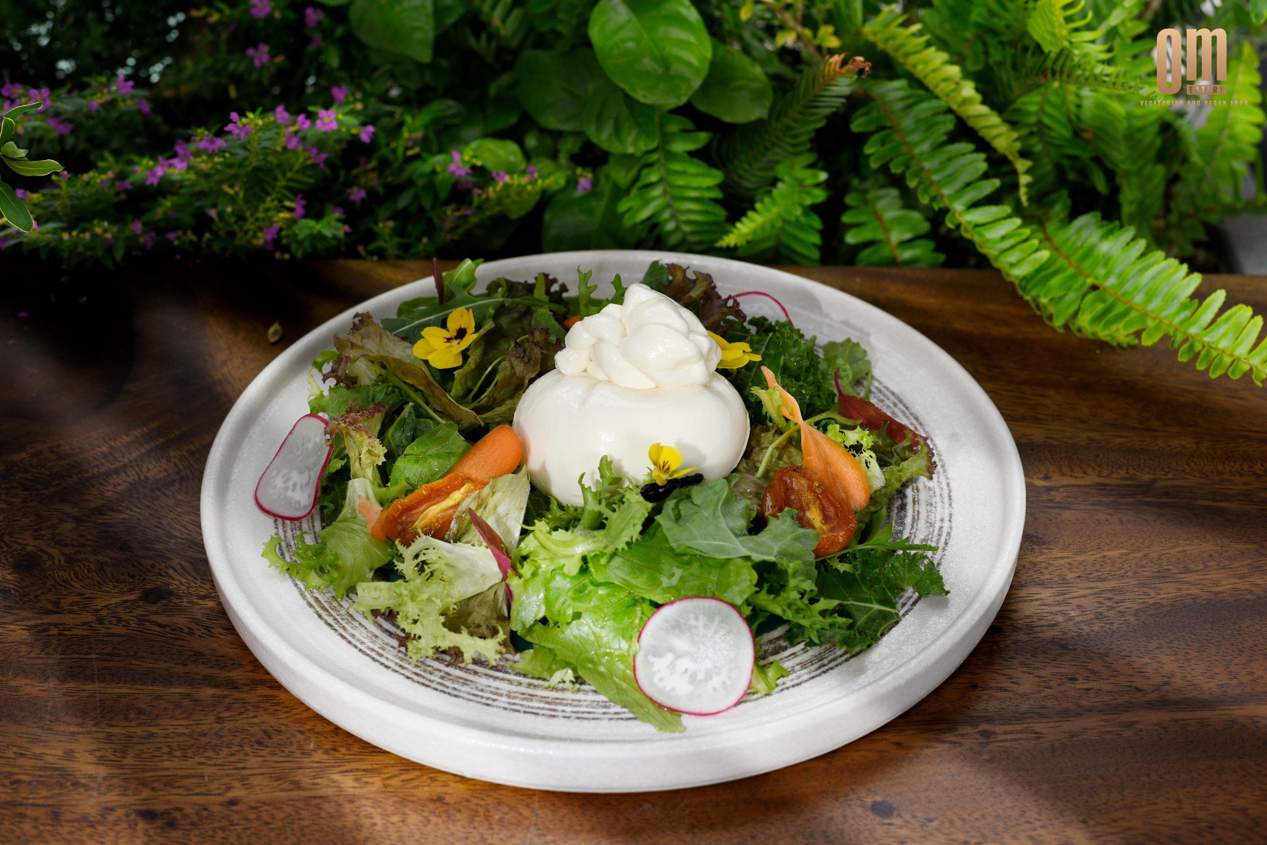 SALAD BURRATA SỐT NHIỆT ĐỚI — MỀM MỊN BURRATA, THANH MÁT RAU TƯƠI