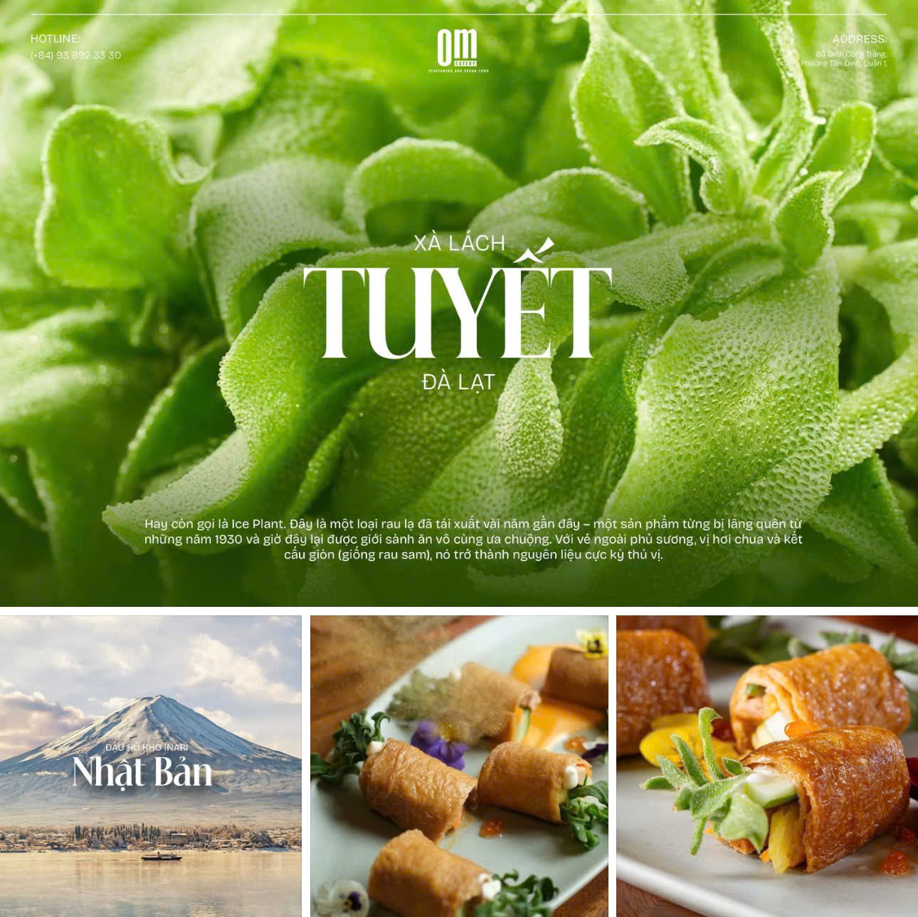 🥗 CUỐN SALAD PHA LÊ NHIỆT ĐỚI – MÓN MỚI TẠI OM EATERY 🌿