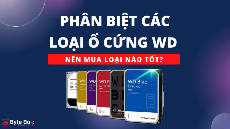 Phân biệt các loại ổ cứng WD theo nhu cầu, nên mua loại nào tốt?