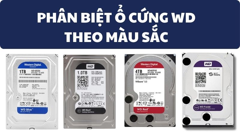 Phân biệt màu sắc ổ cứng WD, màu nào tốt, nên mua loại nào phù hợp?