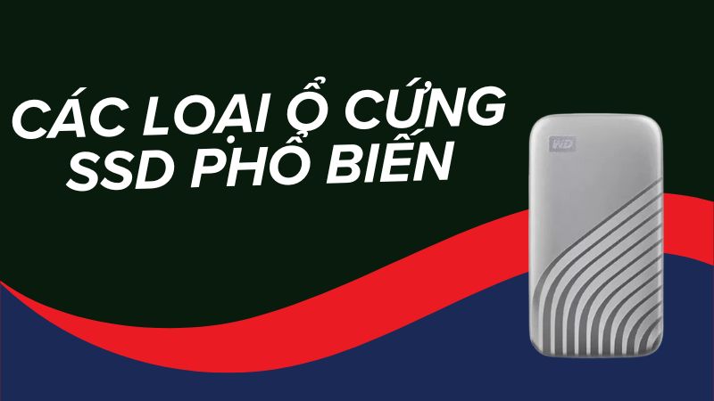 Tổng hợp các loại ổ cứng SSD, các chuẩn tốc độ phổ biến hiện nay