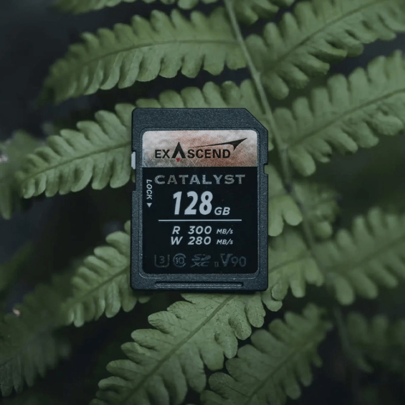 Thẻ Nhớ SDXC Exascend Catalyst 256GB C10 U3 V90 UHS-II SD upto 300MB/s EX256GSDU2 - Bảo hành 5 năm