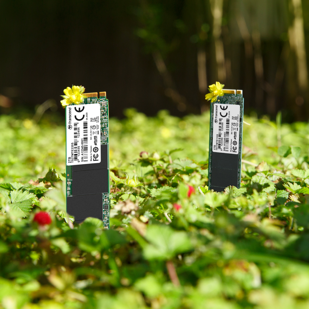 SSD gắn trong Transcend SSD110S 512GB M.2 2280 PCIe Gen3 x4 NVMe upto 1600MB/s TS512GMTE110S - Bảo hành 5 năm