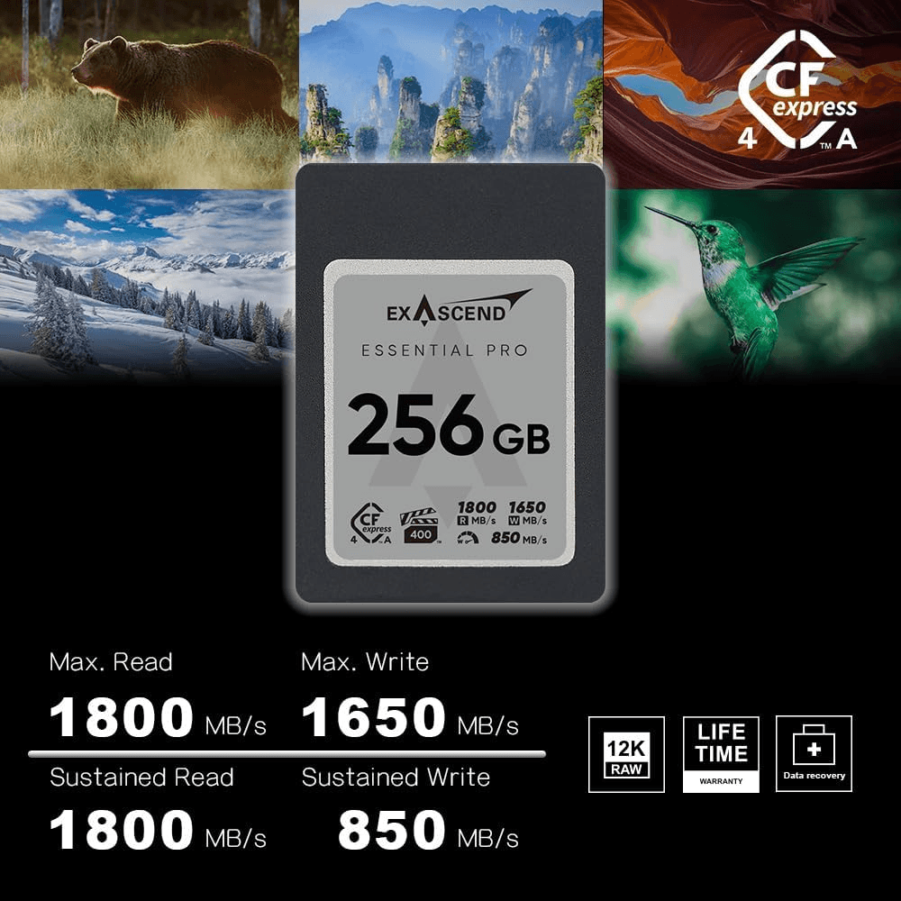 Thẻ Nhớ CFexpress Type A Exascend Essential Pro 256GB PCIe 4.0 upto 1800MB/s EXPC4EA256GB - Bảo hành 5 năm