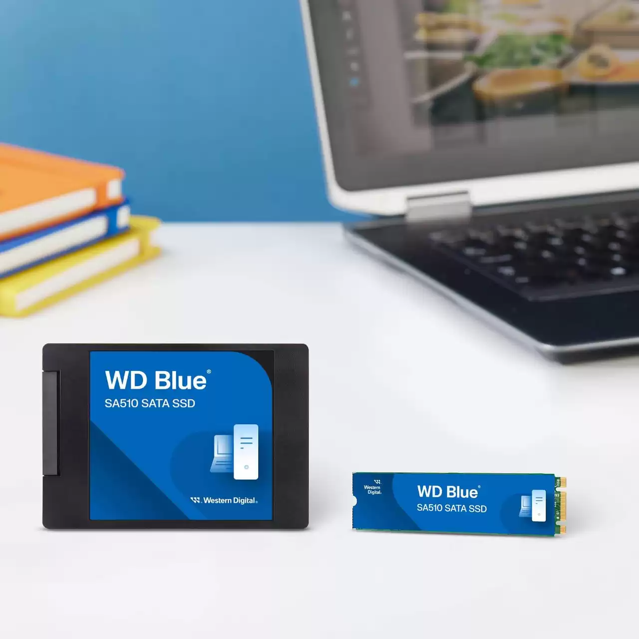 SSD gắn trong WD Blue 2.5 inch SATA III 500GB SA510 upto 560MB/s WDS500G3B0A - Bảo Hành 5 năm