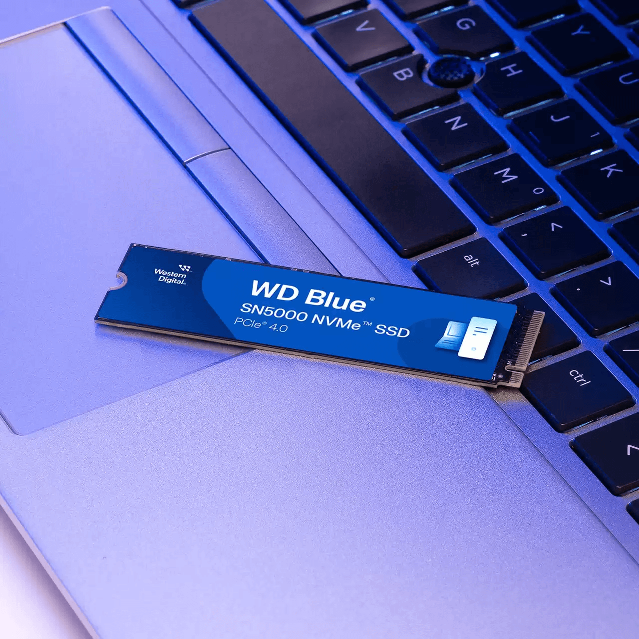 SSD gắn trong SSD WD 500GB Blue SN5000 PCle Gen4x 4 NVMe M.2WDS500G4B0E-00CNZ0 - Bảo Hành 5 năm