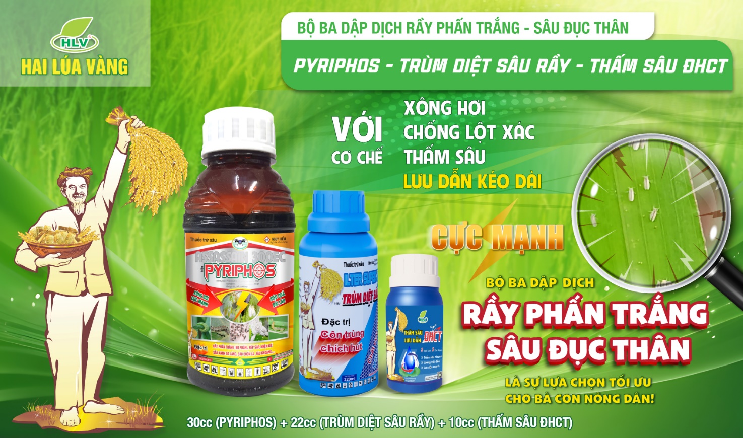 Bộ ba dập dịch rầy phấn trắng của Hai Lúa Vàng