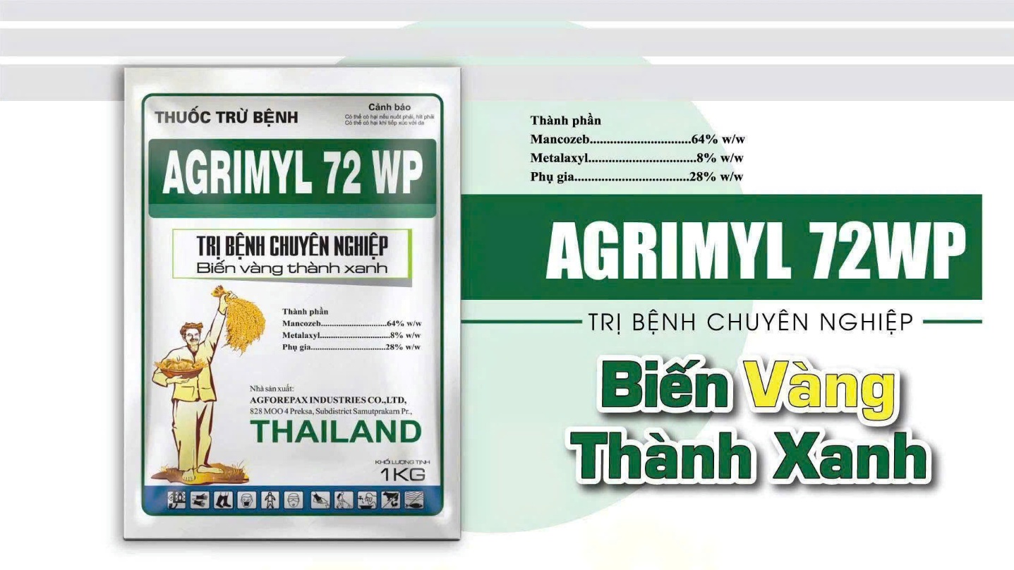Thuốc trị thán thư bông sầu riêng Agrimyl 72WP Hai Lúa Vàng