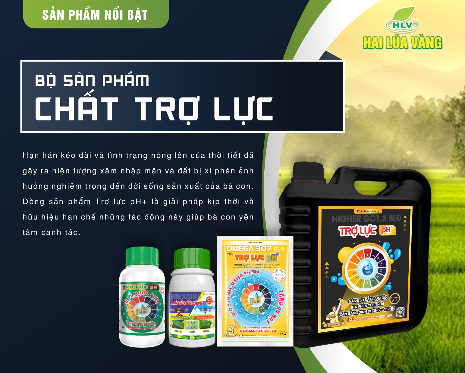 Chất Trợ Lực 