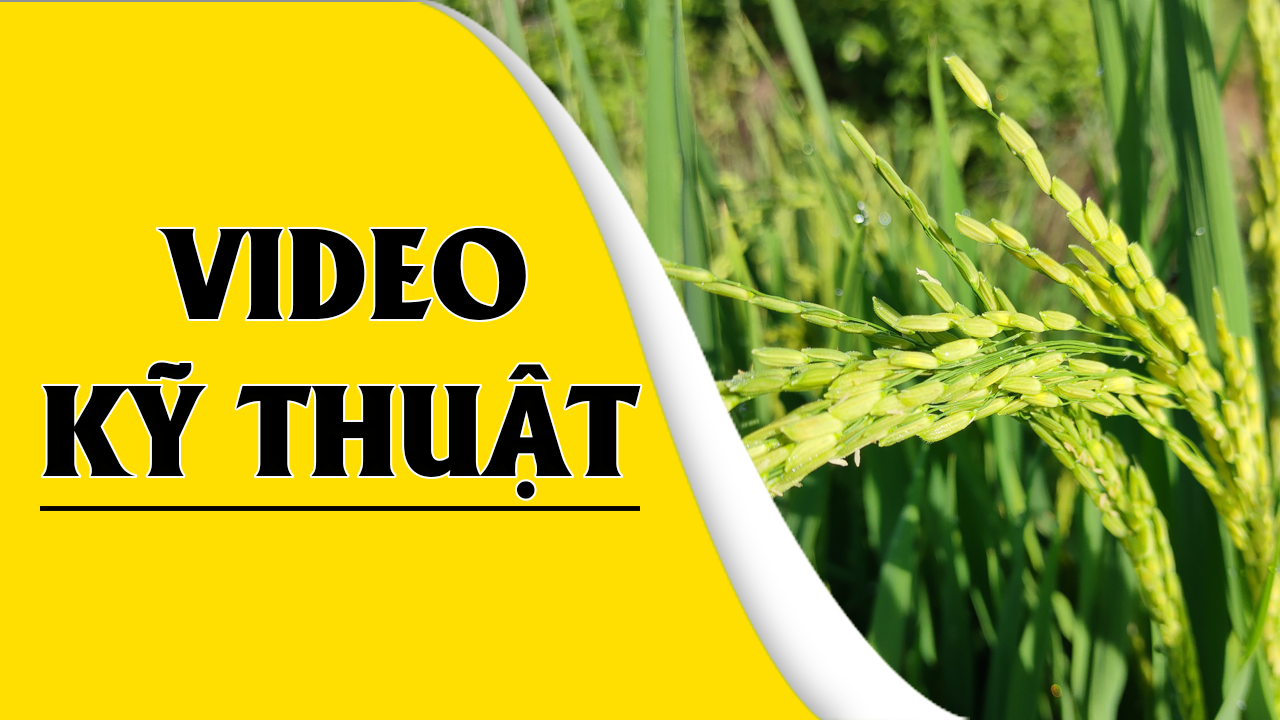 Chia Sẽ Kỹ Thuật 