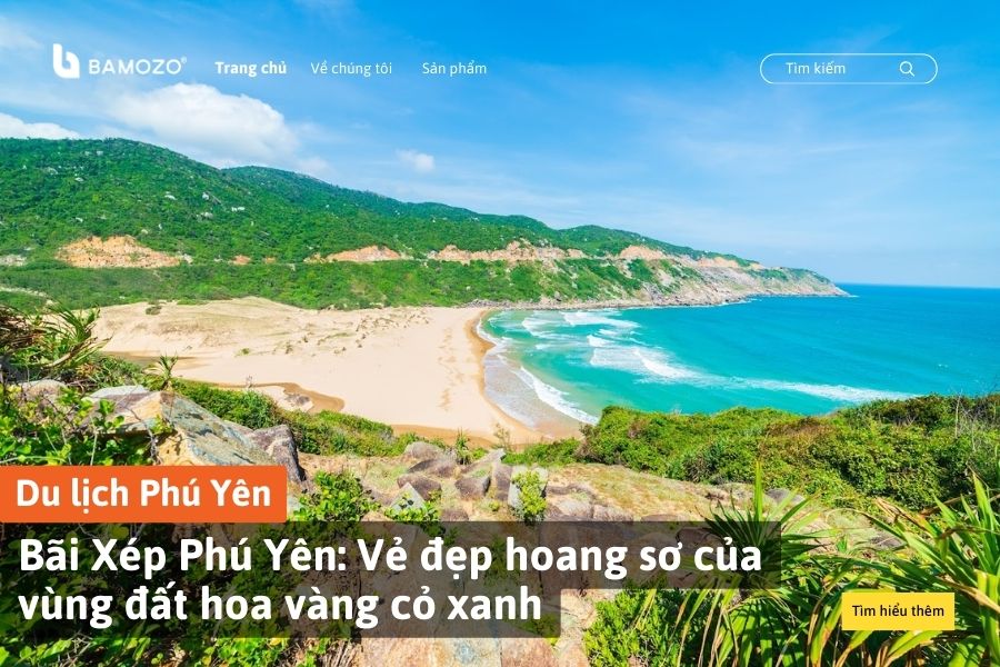 Bãi Xép Phú Yên: Vẻ đẹp hoang sơ của vùng đất hoa vàng cỏ xanh