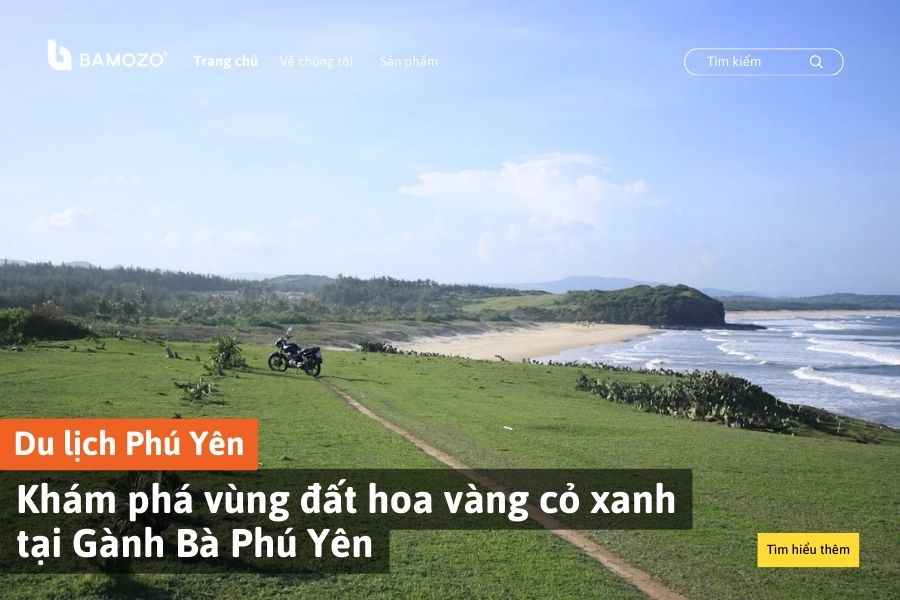 Khám phá vùng đất hoa vàng cỏ xanh tại Gành Bà Phú Yên