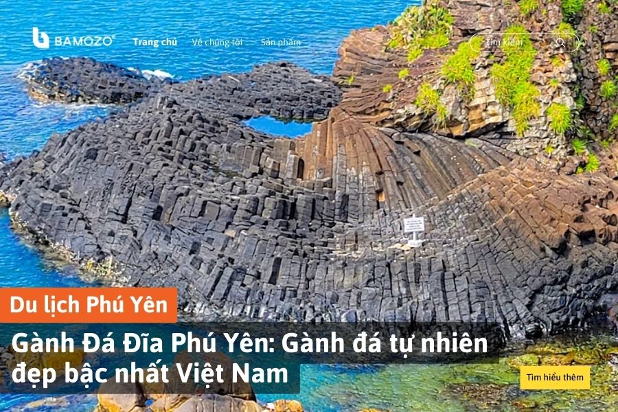 Gành Đá Đĩa Phú Yên: Gành đá tự nhiên đẹp bậc nhất Việt Nam