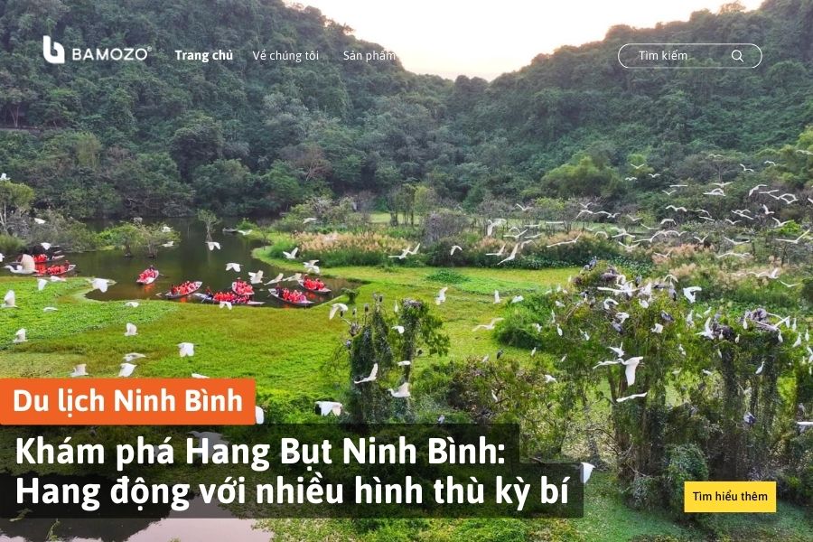 Khám phá Hang Bụt Ninh Bình: Hang động với nhiều hình thù kỳ bí