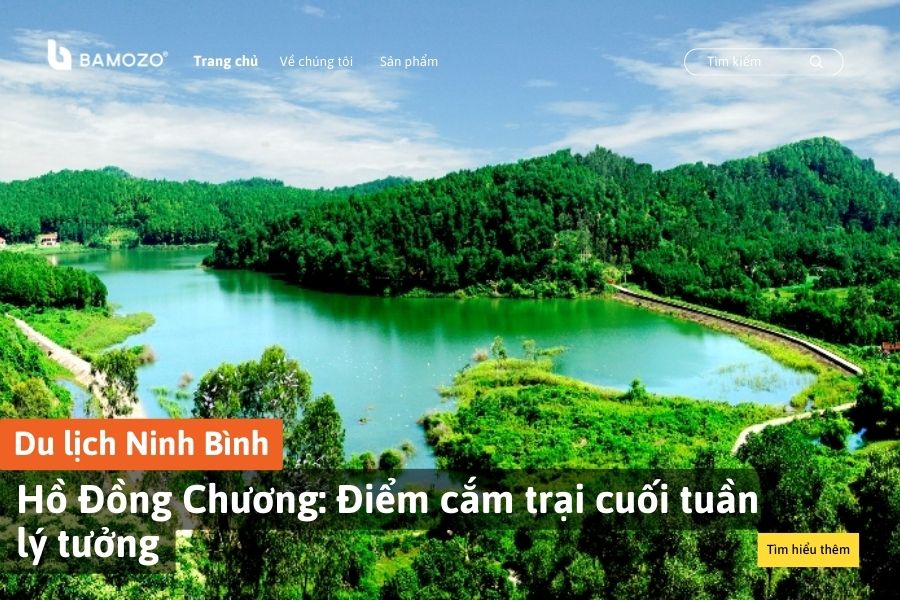 Đồi thông Hồ Đồng Chương: Điểm cắm trại cuối tuần lý tưởng