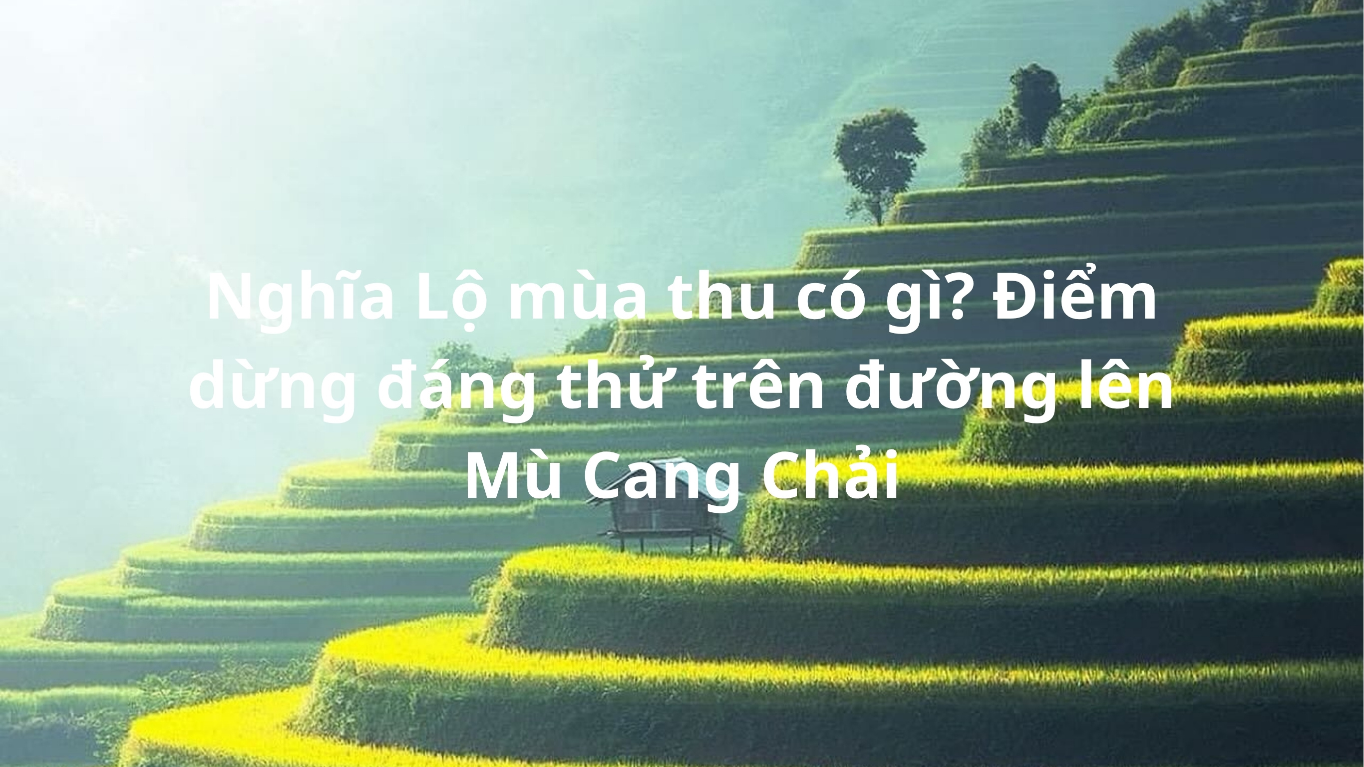 Nghĩa Lộ mùa thu có gì? Điểm dừng trên đường Mù Cang Chải