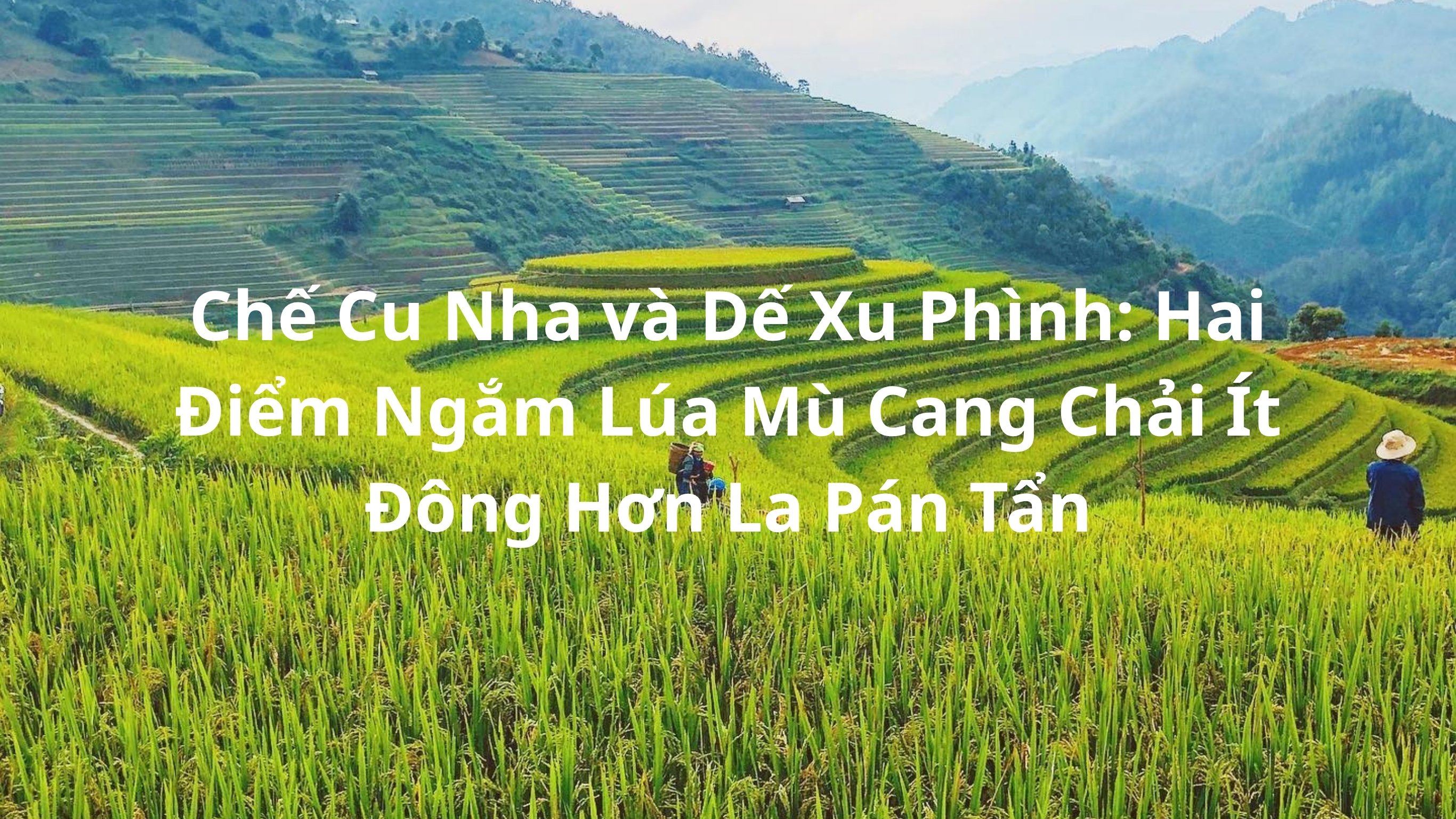 Chế Cu Nha và Dế Xu Phình: ngắm lúa Mù Cang Chải ít đông