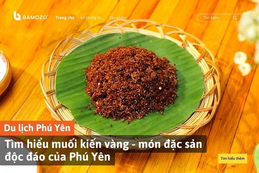 Tìm hiểu muối kiến vàng - món đặc sản độc đáo của Phú Yên