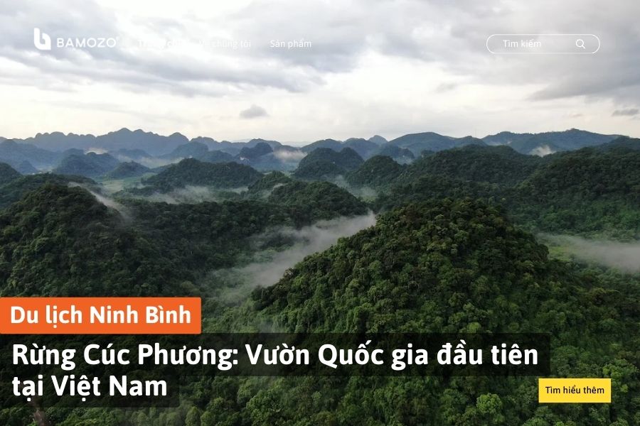 Rừng Cúc Phương: Khám phá vườn Quốc gia đầu tiên tại Việt Nam
