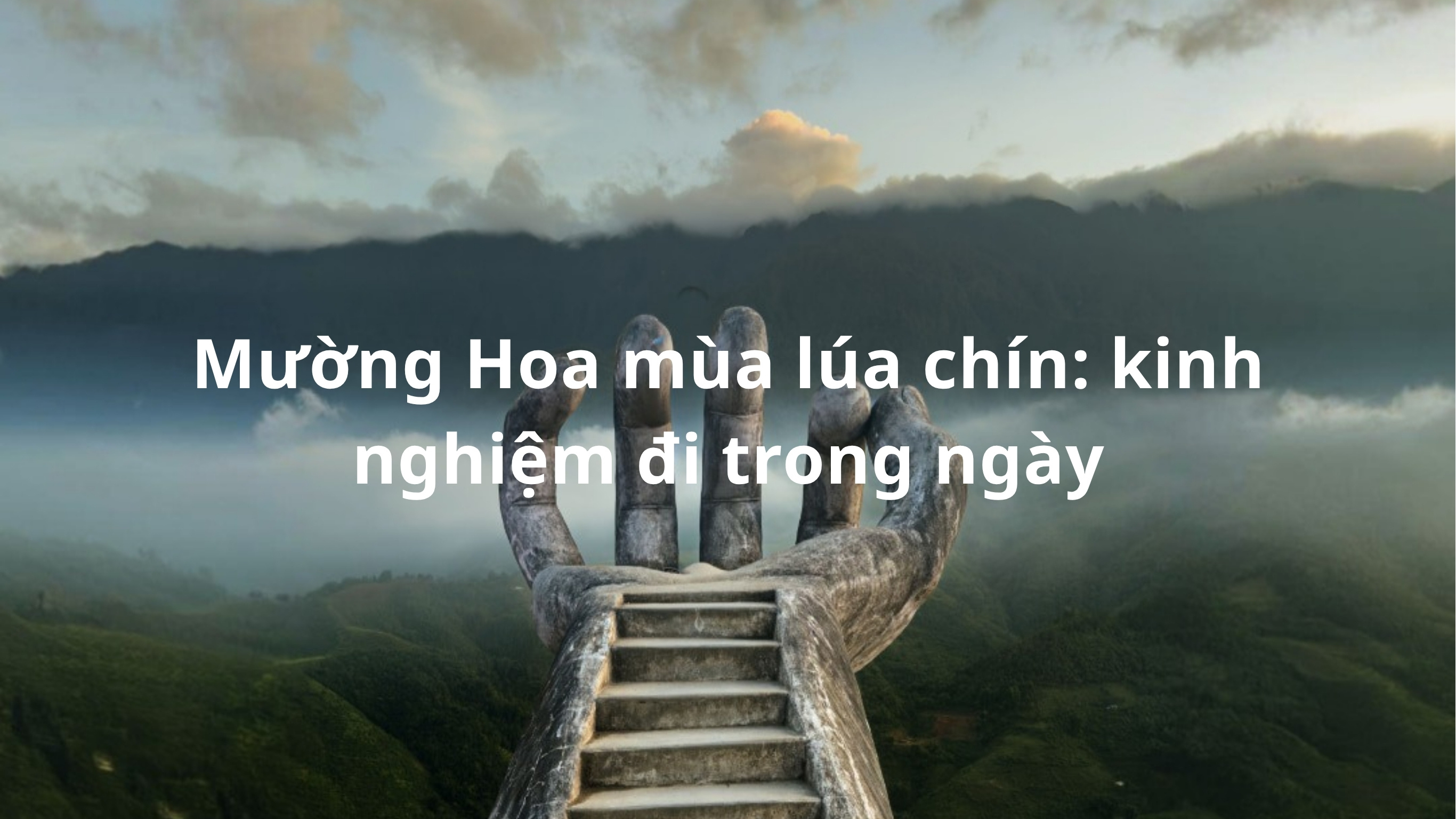 Mường Hoa mùa lúa chín: kinh nghiệm đi trong ngày