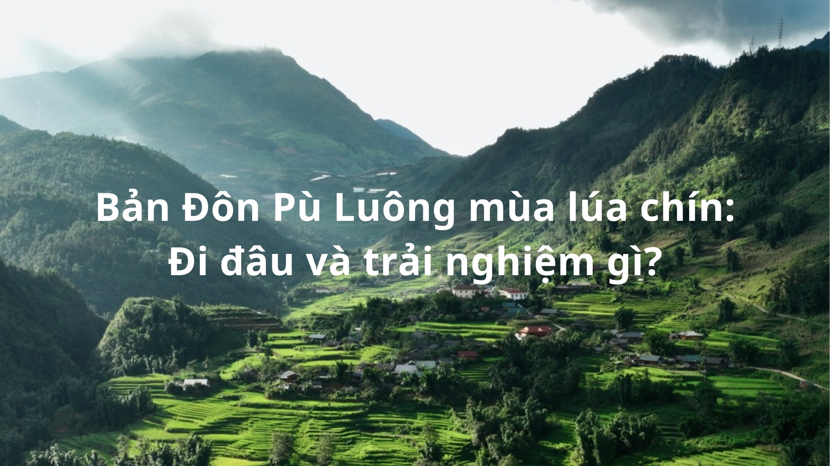 Bản Đôn Pù Luông mùa lúa chín: Đi đâu và trải nghiệm gì?
