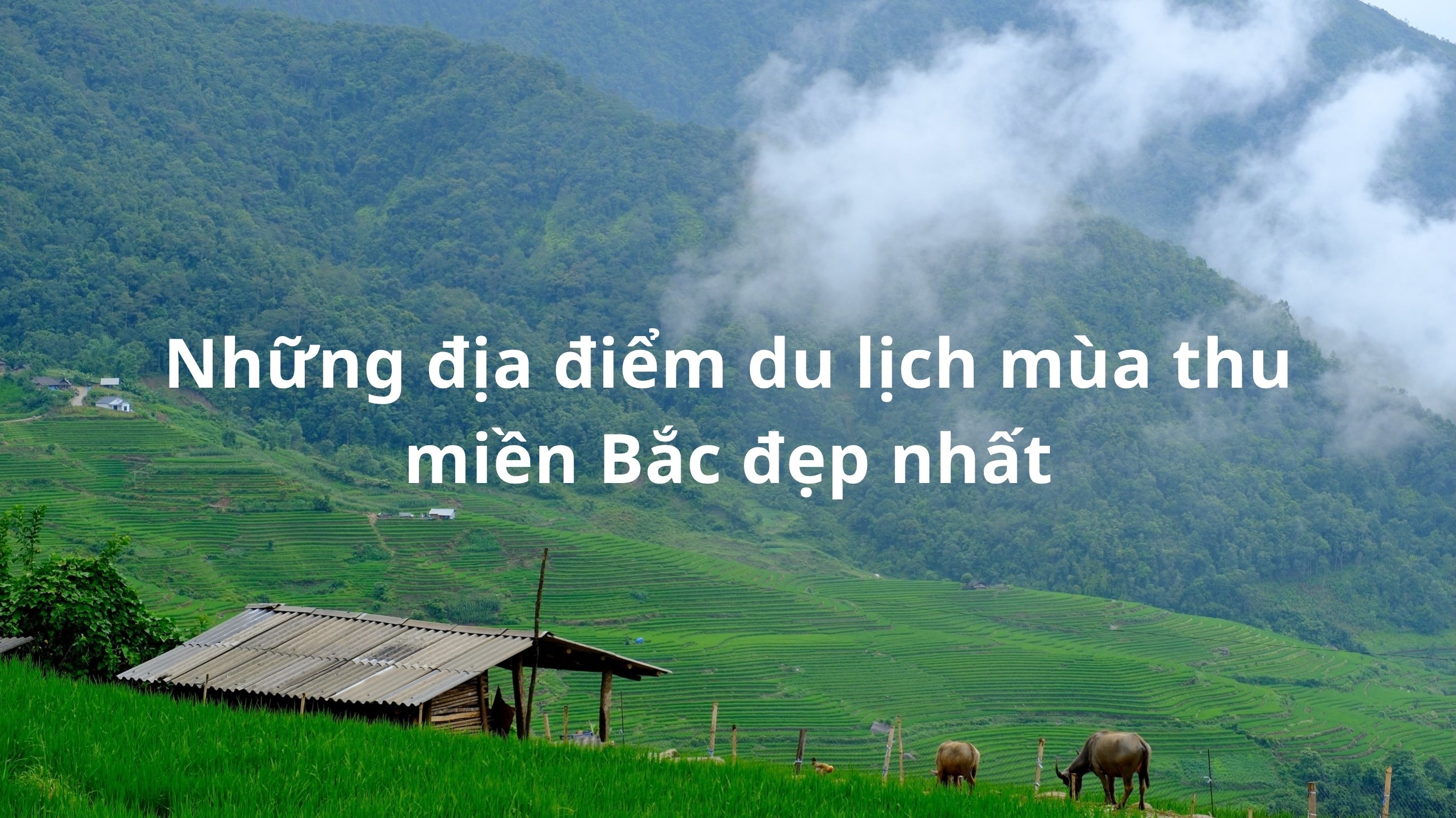 Du lịch miền Bắc tháng 9 nên đi đâu? 12 điểm đến đẹp nhất