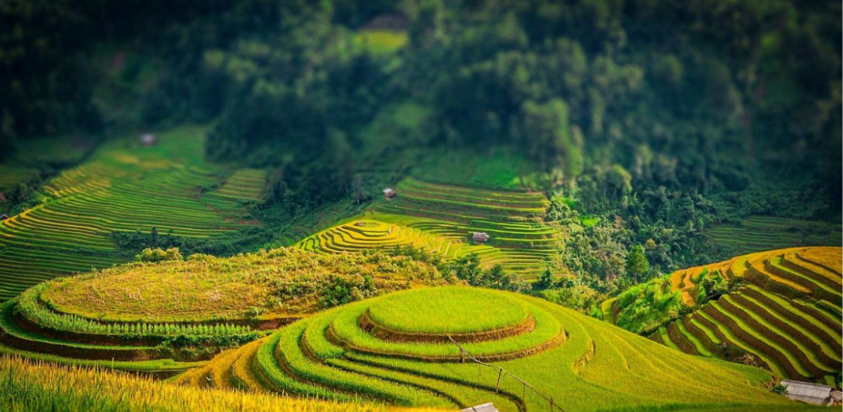 Lịch Trình Du Lịch Hà Giang 3 Ngày 2 Đêm Chi Tiết Từ Chuyên Gia Cực Kỳ Tiết Kiệm