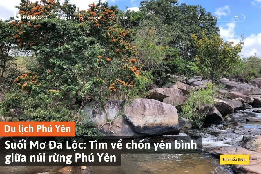 Suối Mơ Đa Lộc: Tìm về chốn yên bình giữa núi rừng Phú Yên