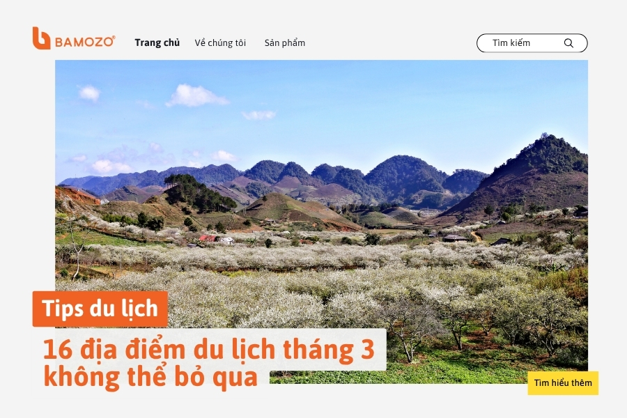 TOP 16 địa điểm nên đi du lịch vào tháng 3 đẹp nhất Việt Nam