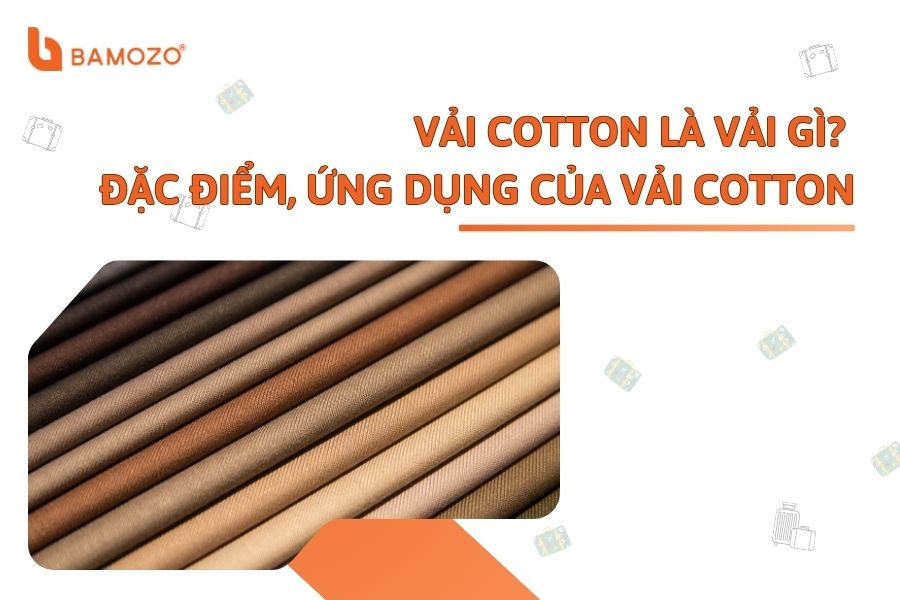 Vải Cotton là vải gì? Đặc điểm, cách nhận biết, ứng dụng của vải Cotton