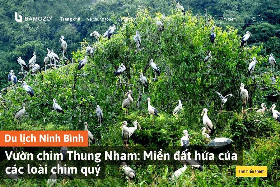 Vườn chim Thung Nham: Miền đất hứa của các loài chim quý