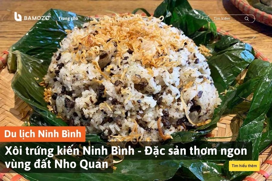 Xôi trứng kiến Ninh Bình - Đặc sản thơm ngon vùng đất Nho Quan