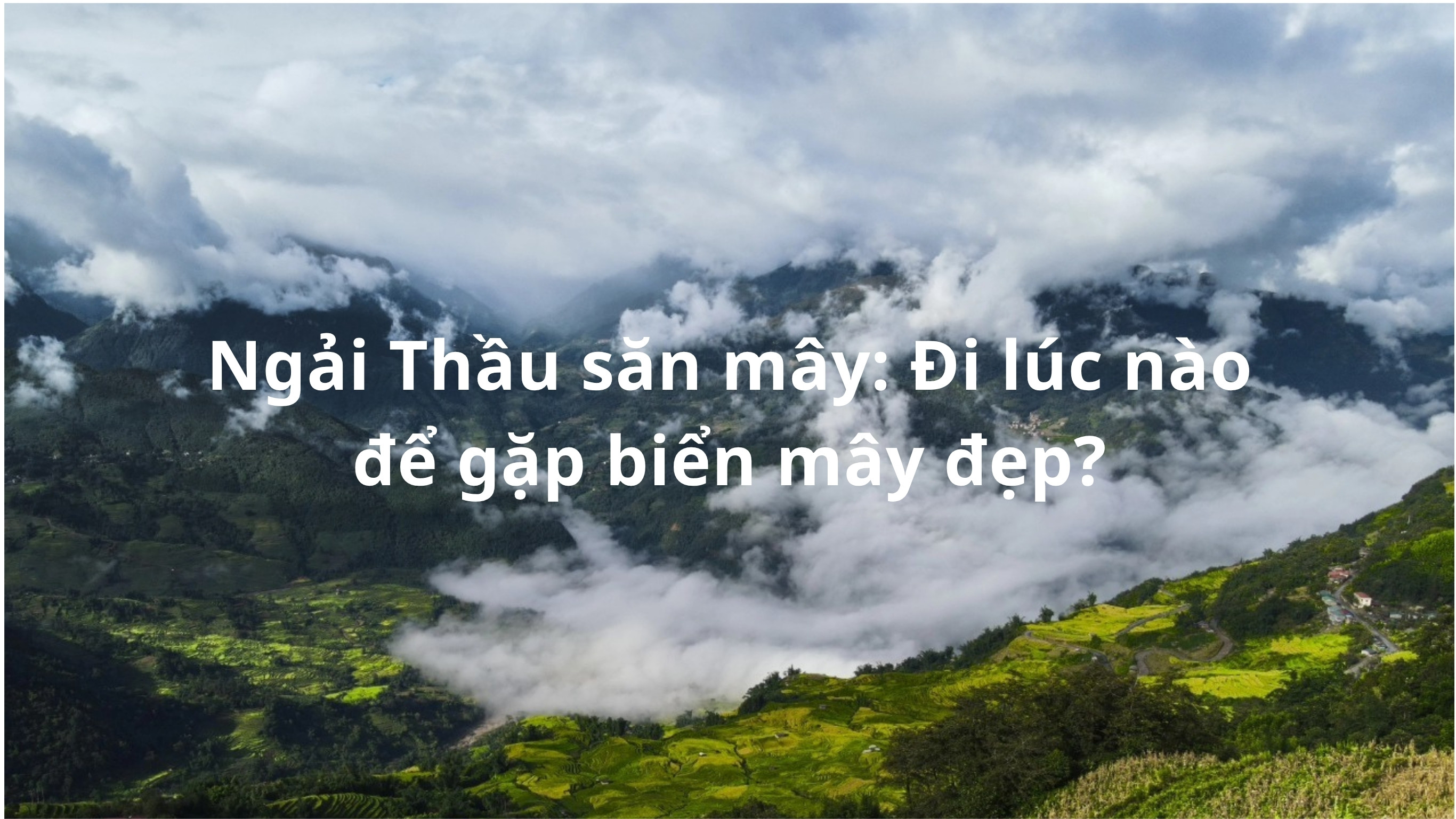 Ngải Thầu săn mây: Đi lúc nào để gặp biển mây đẹp?