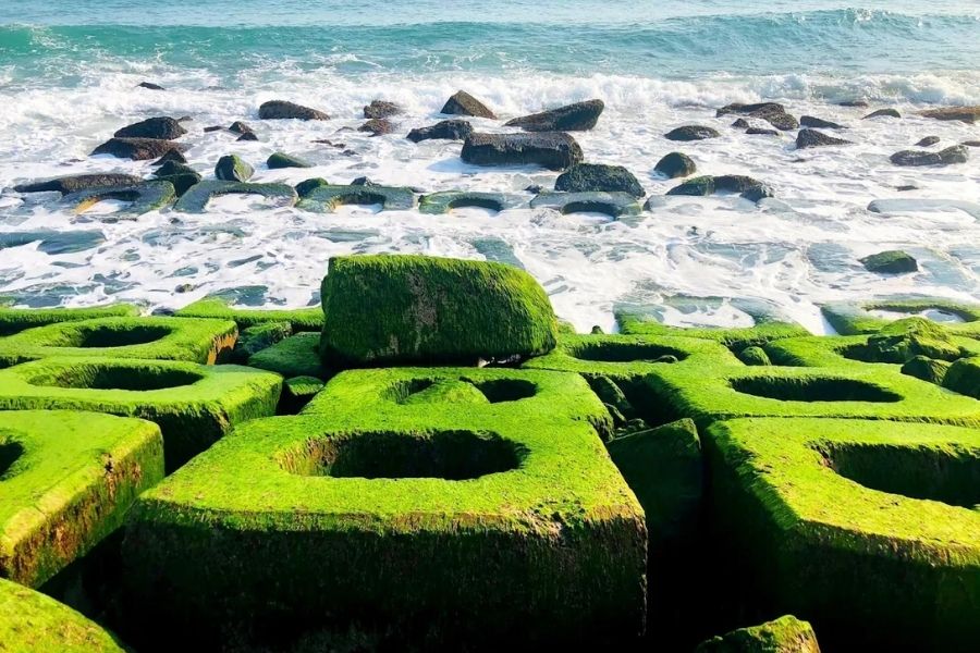 Bờ kè xóm Rớ Phú Yên